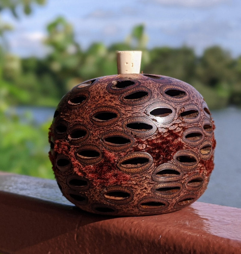Banksia Pod Diffusers