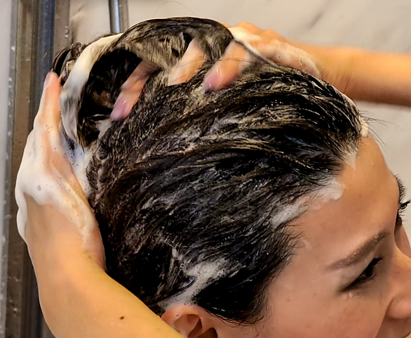 Patrichory - Au Naturel Shampoo and Body Bar