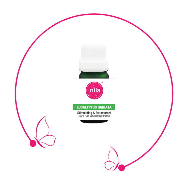 Eucalyptus Radiata 10ml