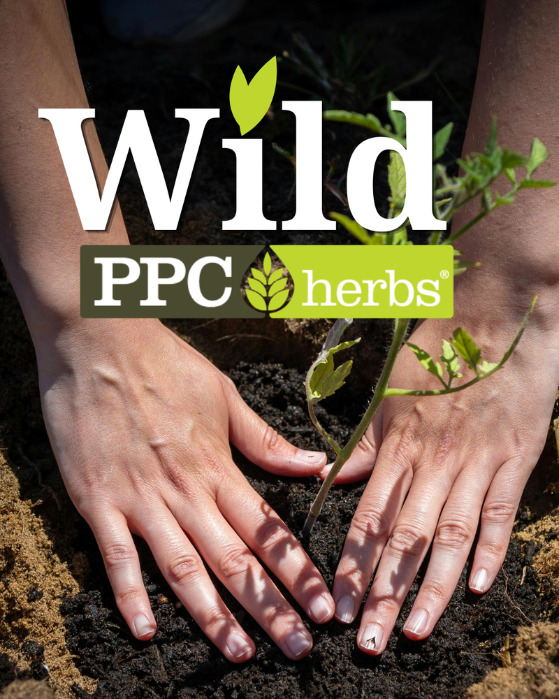 WILD by PPC Herbs