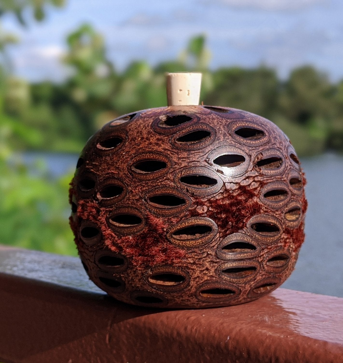 Medium Banksia Diffuser Pod